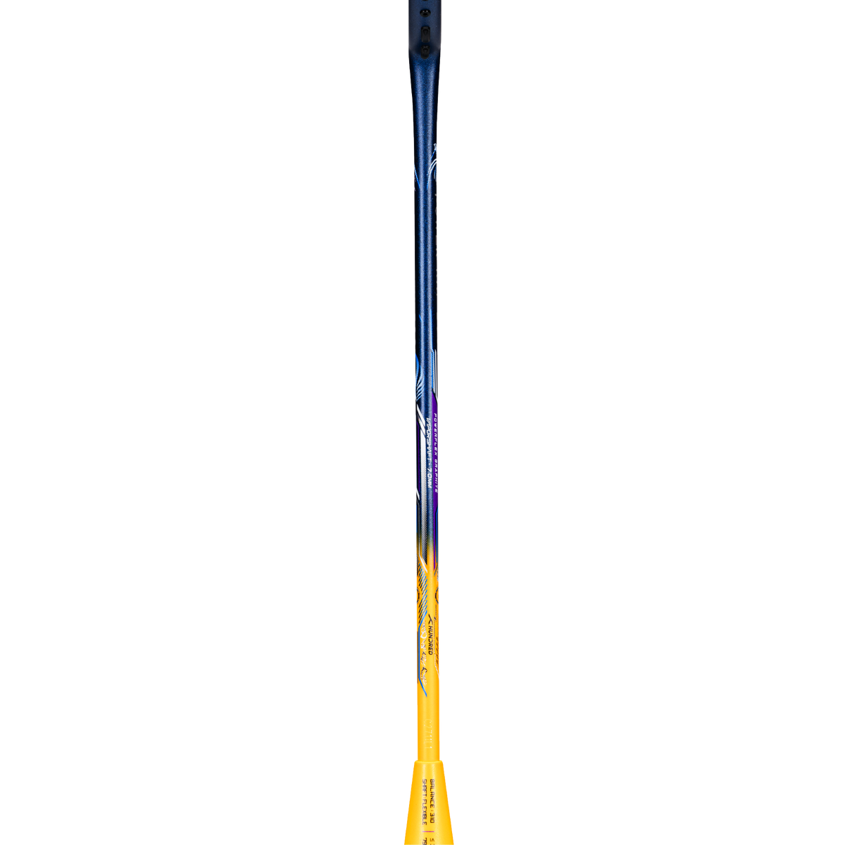 Power Ray 900