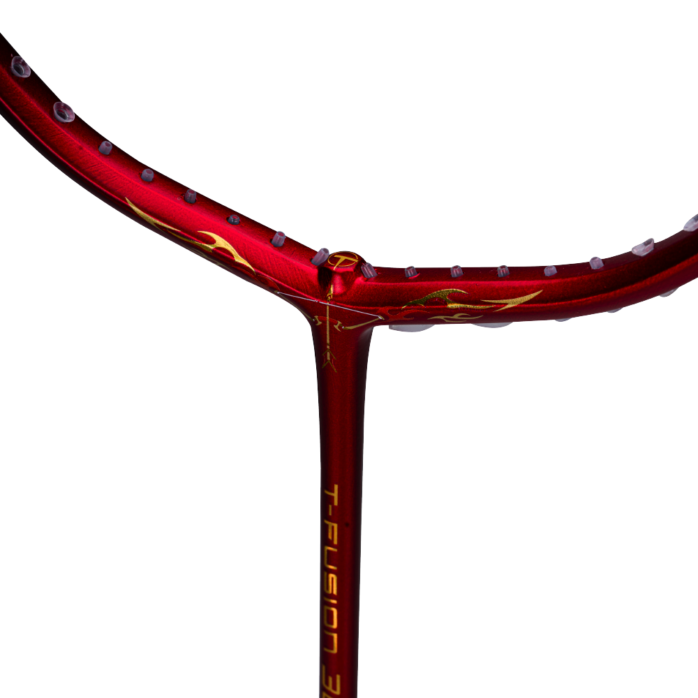 T-Fusion 300- 4U