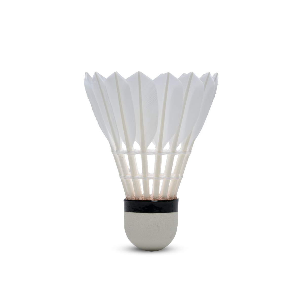 F8 Feather Shuttlecock