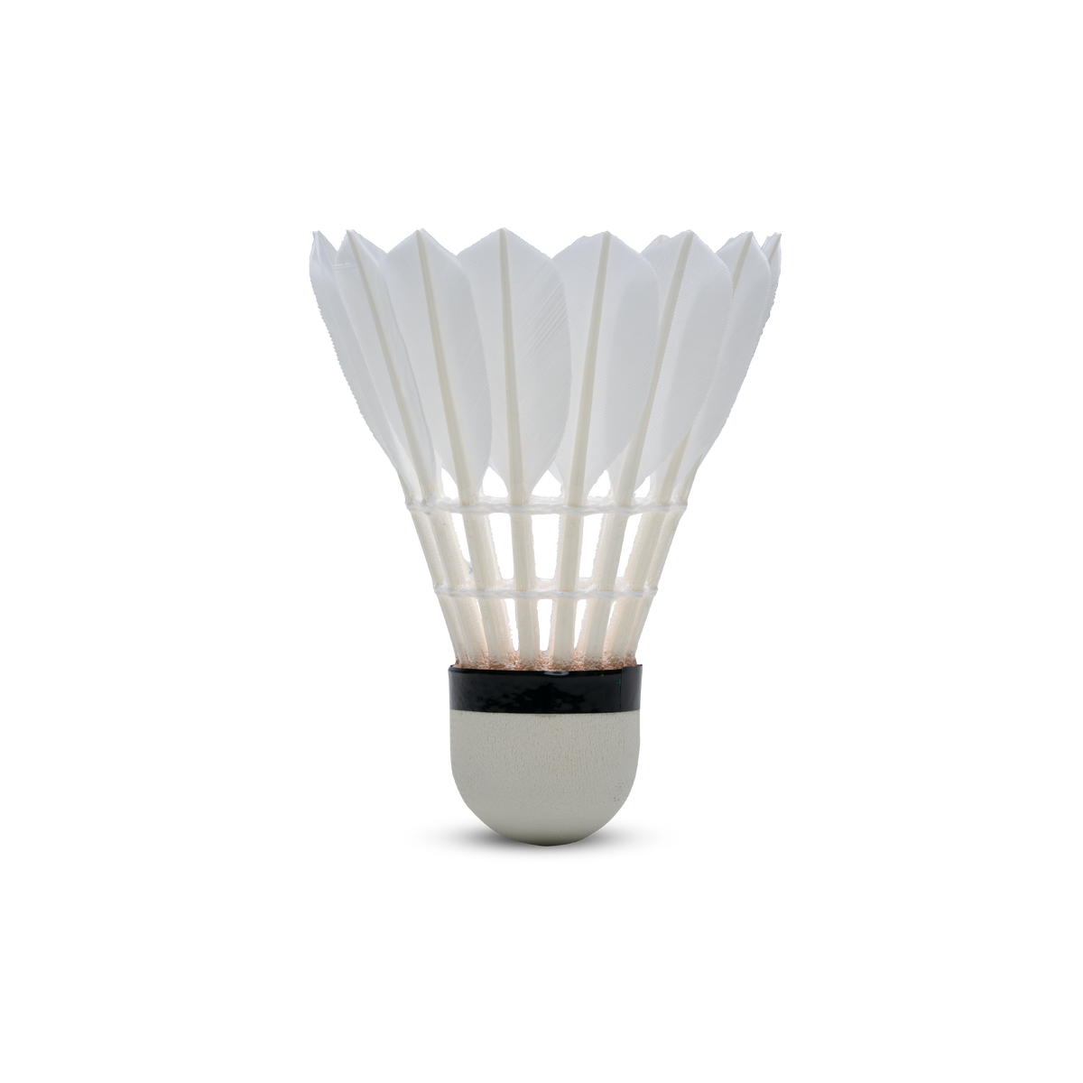 F80 Feather Shuttlecock
